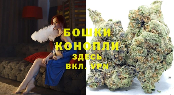 бошки Протвино