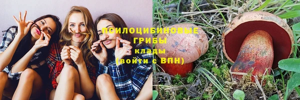МДМА Приозерск