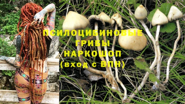 марки lsd Пролетарск