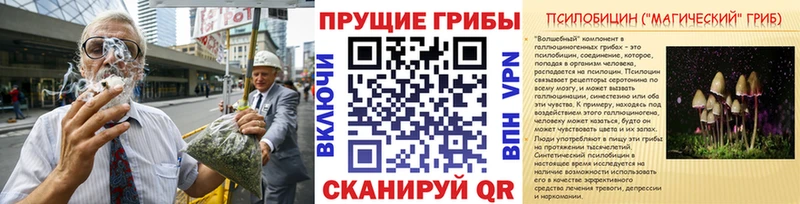 Псилоцибиновые грибы Cubensis Кущёвская